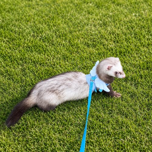 Ferret Harness and Leash Set for Adult Ferrets, Cute Angel Wing Small Animal Vest Harness, Adjustable for Ferrets Kittens Mini Dogs Blue1536-2 - color: Sky Blue