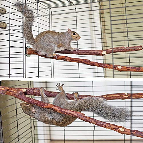 Exotic Nutrition Manzanita Branch 17" x 1/2" (Medium) - Durable Natural Cage Accessory - for Sugar Gliders, Marmosets, Squirrels, Birds, Parrots, Degus, Chinchillas & Other Small Animals