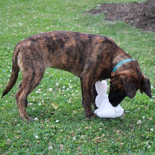 SPOT 6in Vermont Style Fleece Rabbit Dog Toy – Soft Comfort Plushie for Small Dogs & Puppies – Built-in Squeaker – Safe for Light Chewers – No Plastic Parts – Calming & Cuddly Pet Toy - size: 6 inch (Pack of 1), style: Rabbit