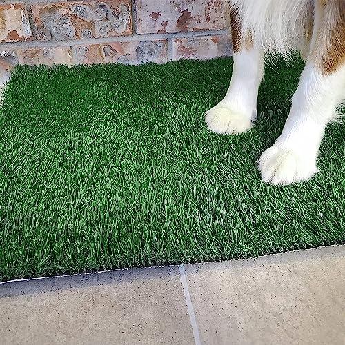 Grass Pad with Tray 20"x16", Dog Litter Box for Puppy Training | Easy to Clean, Full System with Trays, Artificial Grass Patch Bathroom Mat & Washable Pee Pad, Indoor/Outdoor Use - size: 20"x16"（4 Layer Potty System)