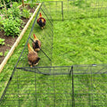 Heavy Duty Chicken Run Tunnel for Yard & Outside, Foldable & Expandable Chicken Tunnel, Portable Predator-Proof Poultry Playpen for Chickens, Rabbits & Ducks - size: Coop 2