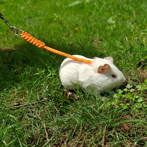 Handmade Figure 8 Harness and Leash for Ferrets/Guinea Pigs/Rats | Adjustable, Lightweight & Safe | Fits Small Animals: Bunnies/Bearded Dragons/Chinchillas/Reptiles/Birds/Squirrels/Rabbits - color: Blue+Pink