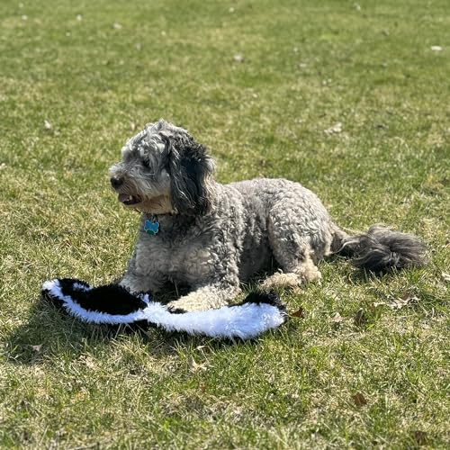 SPOT Skinneeez Skunk 23-Inch Stuffing-Free Plush Dog Toy – Realistic Design with 2 Squeakers – Durable, Soft Polyester for Medium & Large Dogs – Tug, Fetch & Shake Play – for Moderate Chewers - style: Skunk