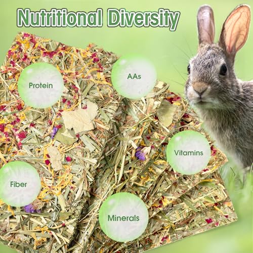 Abizoo Rabbit & Guinea Pig Treats 8 Pack Large Timothy Hay Chips | Bunny Chew Toys, Herbal Flowers, Vitamins and Minerals, Timothy Hay Forage Mix