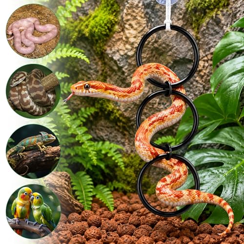 Snake Enrichment Toys for Ball Python, Includes Jungle Gym Ball with Chain, Climbing Rings for Small Corn Snake, Small Reptiles Exploring&Climbing Accessories