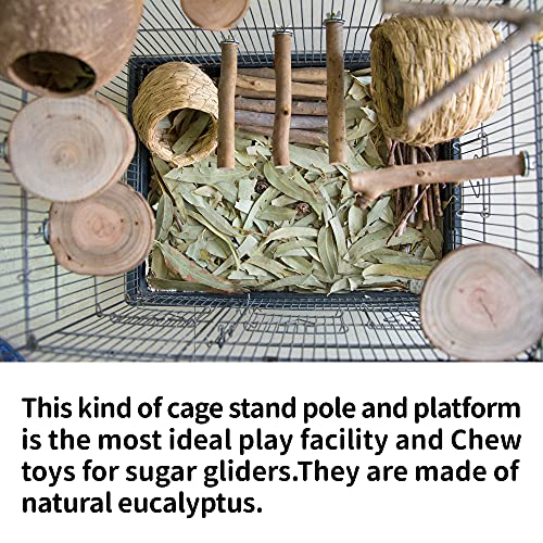 NEOUZA Sugar Glider Cage Stand Pole and Platform Made of Natural Eucalyptus,Molar Paw Grinding Standing Climbing Toy