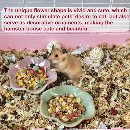 Kathson Ceramic Hamster Food Bowl, Guinea Pig Food Bowls,Rats Anti-Turning Feeding Dish,Small Animals Water Drinking Bowls for Squirrel, Chinchilla, Hedgehog, Gerbil, Dwarf Syrian (4 pcs Lotus Leaf) - size: 4Pcs Lotus Leaf