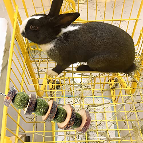 3 Pcs Bunny Chew Toys, Rabbit Chew Toys | for Teeth Grinding, Natural Organic Apple Wood Stick for Improve Rabbits Guinea Pigs Hamsters Dental Health