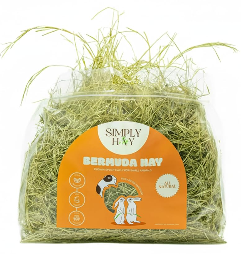Bermuda Hay – High-Fiber, Low-Calcium Coastal Grass for Rabbits, Guinea Pigs & Small Pets – All-Natural, Hand-Packed, Timothy-Allergy Friendly (40 oz) - size: 2.5 Pound (Pack of 1)