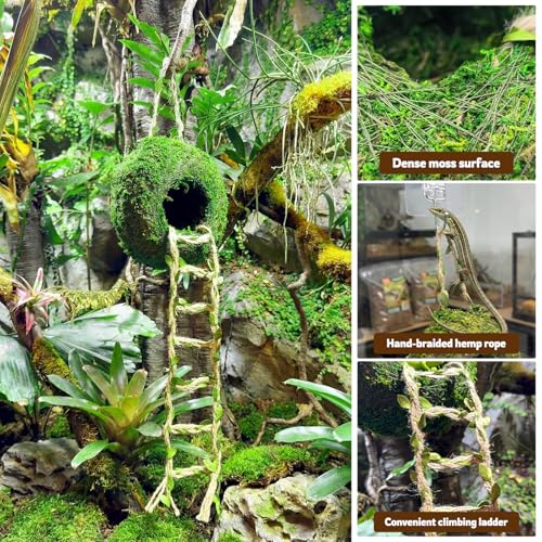 Moss Cave Hideout with Hanging Rope & Hemp Climbing Ladder – Natural Reptile Tank Decor Accessories for Crested Geckos, Chameleons, Tree Frogs, Leopard Geckos & Snakes. Terrarium & Vivarium Decor (4") - size: 4"