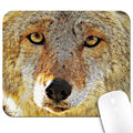 9.5x7.9 Inch Office/Gaming Mouse Pad, Cool Yellow Brown Hairy Wolf Head with Bright Eyes Cute Anti-Slip Mat for Desk - color: Colorful Pattern Art10