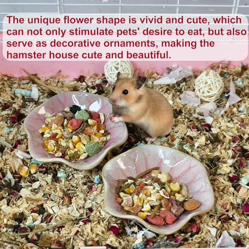 Kathson Ceramic Hamster Food Bowl, Guinea Pig Food Bowls,Rats Anti-Turning Feeding Dish,Small Animals Water Drinking Bowls for Squirrel, Chinchilla, Hedgehog, Gerbil, Dwarf Syrian (2 pcs Pink) - size: 2Pcs Pink