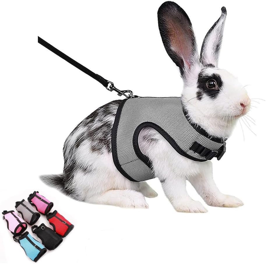 Escape Proof Bunny Harness Leash, Adjustable Rabbit Vest Small Pet Walking | Adjustable Small Animal Elastic Harness Outdoor Walking Training for Rat Squirrel Ferret Guinea Pig Bunny Grey XL - color: Grey, size: XL Chest 9.8-15.7''Big Rabbit