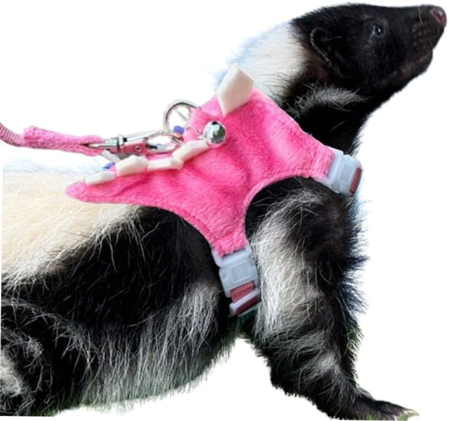 Ferret Harness and Leash Set Small Animals Vest Harness with Safe bell Dinosaur Shaped Walking clothes for Baby Rabbit Guinea pig Teacup Chihuahua Mouse and other small pet (Pink) - color: Pink