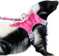 Ferret Harness and Leash Set Small Animals Vest Harness with Safe bell Dinosaur Shaped Walking clothes for Baby Rabbit Guinea pig Teacup Chihuahua Mouse and other small pet (Pink) - color: Pink