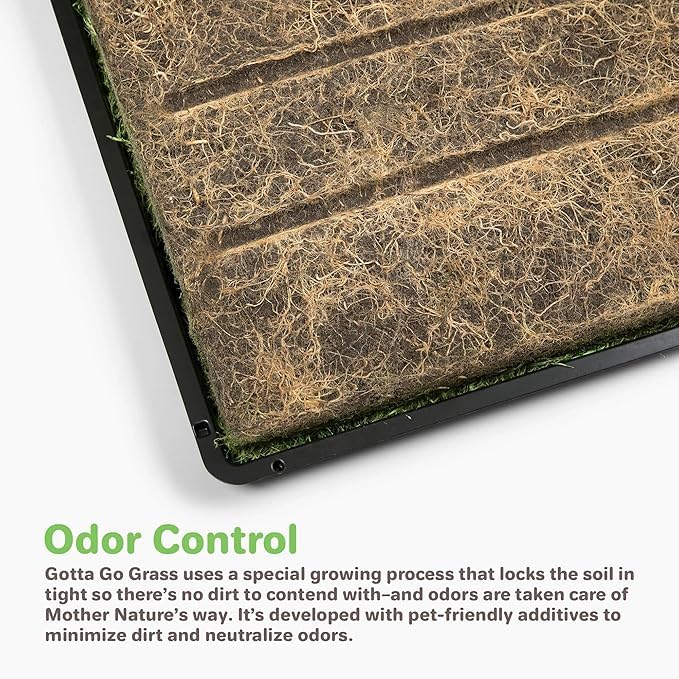 Gotta Go Grass for Small Animals – Natural Real Grass Bedding & Pet Resting Pad,Grass Potty Pad for Rabbits, Guinea Pigs, Hamsters, & Small Pets, Odor Absorbent Grass Mat (With Tray 2-Pack 16" x 24") - size: With Tray 2- Pack