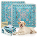 Homimp Washable Pee Pads for Dogs, 2 Pack Reusable Puppy Pads Waterproof, Absorbent and Leakproof Dog Pee Pads, Non Slip Puppy Training Pads, Pet Mat for Floor,Crate,Couch,Whelping,Blue, 36"x48" - size: 36"x48"(Pack of 2)