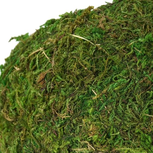 USMOLA Mossy Caves, Artificial Green Moss Caves Hide for Pet Reptile Frogs and Snakes, Terrarium & Vivarium Decor, Crested Gecko Tank Decor (4" - Woodland Green)