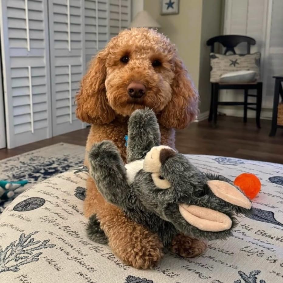 Fluff & Tuff Walter Wabbit Plush Dog Toy - 12" - size: 12 Inch (Pack of 1)
