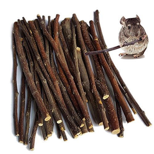 sharllen 300g(10.5oz) Apple Sticks (About 90 Sticks) Pet Chew Toys for Rabbits Chinchilla Guinea Pigs by - size: 10.5 Ounce (Pack of 1)