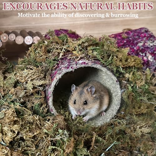 Hamster Hideout Tunnel Natural Hay & Dried Flower Paper Tube Maze Burrowing Habitat Decor for Dwarf Hamsters Gerbils Mice Syrian Hamsters (Rose Flower)