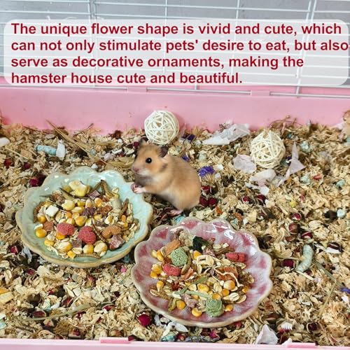 4PCS Ceramic Hamster Food Dish,Sunflower Guinea Pig Food Bowls | Rats Anti-Turning Feeding Dishes for Gerbils Mice 4.5in，Shallow Chew-Proof Bowl, Non-Slip Base, Easy to Clean - size: 4Pcs Sunflower