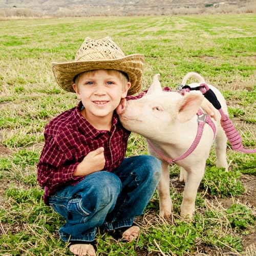YeeBeny Mini Pig Harness Adjustable with Leash Foam Handle Pink, M | Adjustable Small Pig Harness with Leash Infinity Style Lead and Soft Foam Handle for Walking Training Jogging - color: Pink, size: M