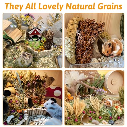 Fhiny Natural Hamster Bedding Mate, Edible Hamster Sprays Flowers & Herbs Gerbil Habitat Enclosure Decor Grain Treats Cage Accessories for Dwarf Syrian Hamster Gerbil Degus Lemming Mice
