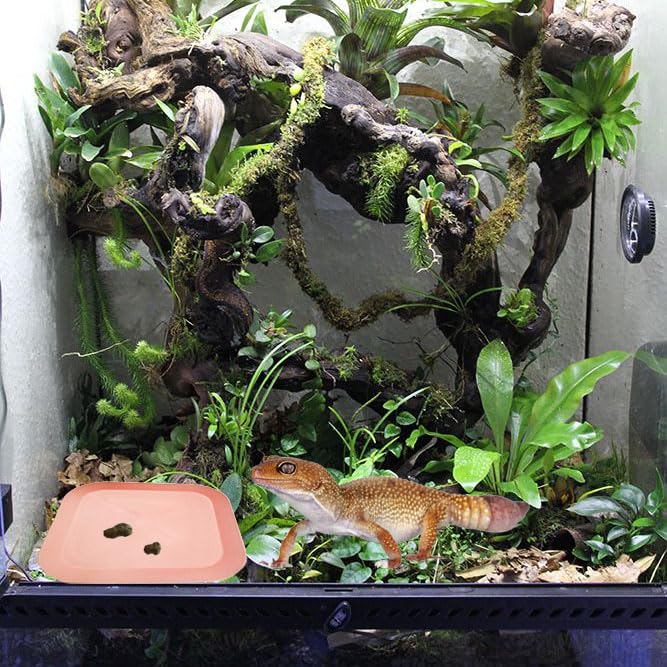 2 Pcs Leopard Gecko Potty Pad,Crested Gecko Potty Latrine，Leopard Gecko Tray，Reptile Litter Box，Portable Gecko Tank Accessories (Pink) - color: Pink