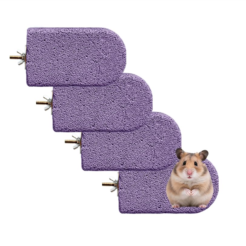 4PCS Lava Ledge for Small Pets/Chinchilla/Hamster/Parrot, Purple(L) | Grinding Claws & Jumping, Safe Natural Volcanic Rock, Reduces Random Chewing - color: Purple, size: L