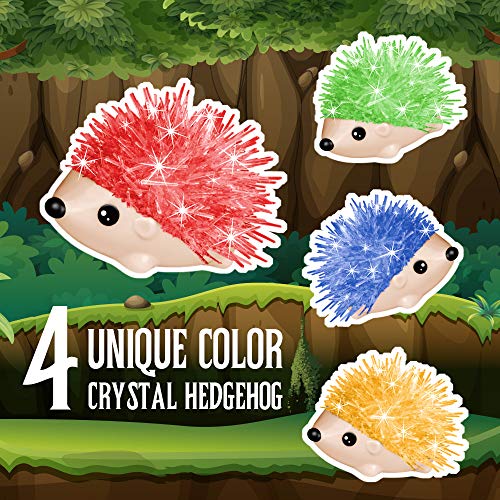 Crystal Growing Kit - 4 Vibrant Hedgehogs Fast 24H, STEM Gift for Kids 6-12 | Grow 4 vibrant hedgehogs in 24H. STEM science kit for ages 6-12. Educational DIY toy, great birthday gift for boys & girls. - color: 4 Hedgehog Crystal