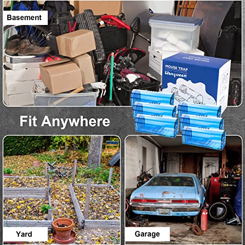 6 Pack Humane Mouse Rat Traps No Kill Live Mice Trap Indoor for Home-Blue | Catch & Release, A Bush to Clean, Safe for Child Pet Indoor Outdoor - size: Blue-6 Pack