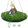 Reptile Hammock Swing Hanging Bed, PP Grass Pad，Portable Bird Swing Stand Reptile Natural Swing Hanging Bed for Bearded Dragon Leopard Gecko Lizard Birds Parrots（Round） - color: Round