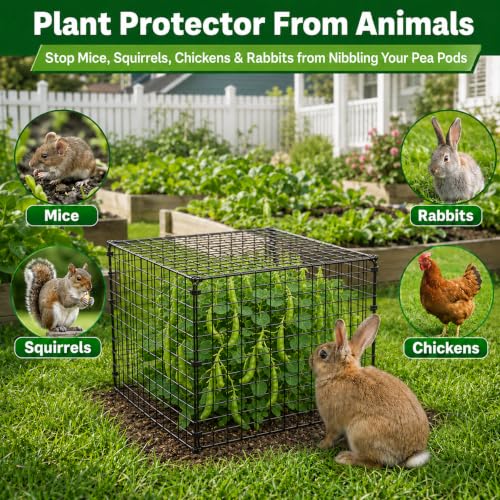 10 Pack Plant Protectors from Animals 12'' x 12'' with Stakes Nylon Ties | Metal Wire Mesh Garden Plant Cages for Outdoor Gardening Supplies to Keep Rabbit Chicken Away from Tomato Flower Vegetables - size: 10PACK-12*12inch