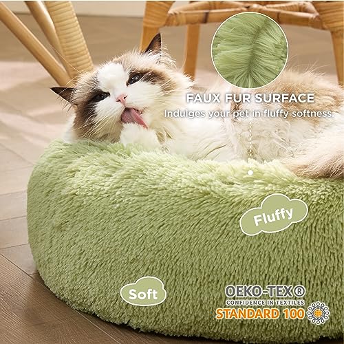 Bedsure Calming Cat Beds for Indoor Cats - Small Cat Bed Washable 20 inches, Anti-Slip Round Fluffy Plush Faux Fur Pet Bed, Fits up to 15 lbs Pets, Green | Fluffy Faux Fur Cuddler,Machine Washable,Anti-Slip Bottom,Anti-Anxiety,Deep Sleeping for Cats&Small