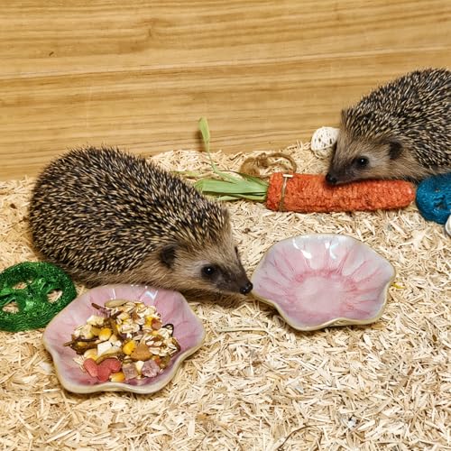 Kathson Ceramic Hamster Food Bowl, Guinea Pig Food Bowls,Rats Anti-Turning Feeding Dish,Small Animals Water Drinking Bowls for Squirrel, Chinchilla, Hedgehog, Gerbil, Dwarf Syrian (2 pcs Pink) - size: 2Pcs Pink