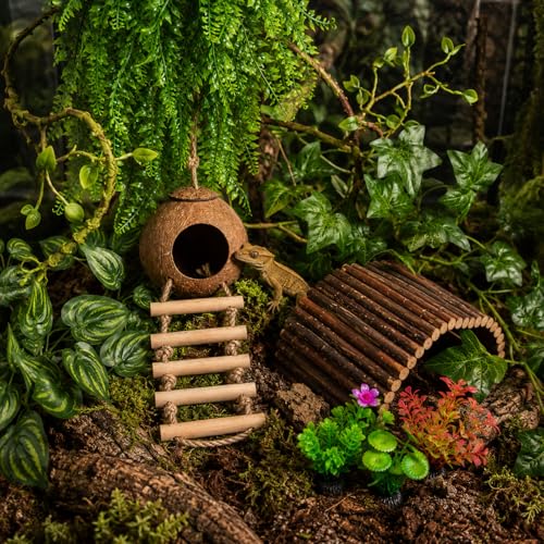 RUNANIA Crested Gecko Tank Accessories，Reptile Vines Plants with Coconut Shell Ladder Hideout Hermit Crab Decor for Leopard Gecko Lizard Chameleon Tortoise Snake Terrarium Decor