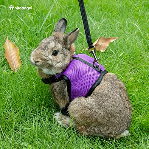 Niteangel Adjustable Soft Harness with Elastic Leash for Rabbits (M, Purple) - color: Purple, size: M