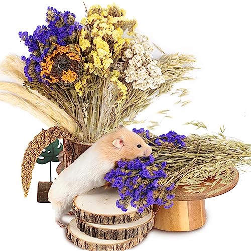 Natural Ear of Grain Flower&Herb Bedding Mate Habitat Decor, Adding Fun Hamster Accessories for Hamsters Gerbils Lemming - color: Flower Style