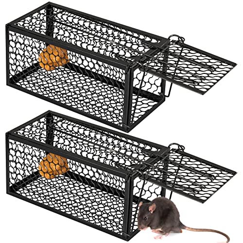 Qualirey 2 Pcs Humane Rat Trap Chipmunk Rodent Mouse Squirrel Trap,Black | 9.1 x 4.5 x 4.5 Inches Mouse Voles Hamsters Cage Rat Cage for Mice Easy to Catch and Release - color: Black