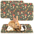 Drydiet 16 x 12 Inch 2 Pcs Rabbit Scratch Mat Natural Bunny Scratching Pad Claws and Teeth Care Rabbit Mats for Cages Chew Toys Bunny Pet Cage Bedding for Biting Sleeping Nesting