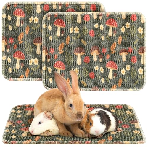 Drydiet 16 x 12 Inch 2 Pcs Rabbit Scratch Mat Natural Bunny Scratching Pad Claws and Teeth Care Rabbit Mats for Cages Chew Toys Bunny Pet Cage Bedding for Biting Sleeping Nesting