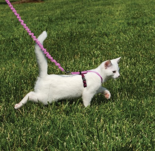 PetSafe Come with Me Kitty Harness and Bungee Cat Leash, Dusty Rose, Small | Adjustable 2-Point Fit Applies Gentle Pressure to Shoulders, Not Neck, for Kittens and Small Cats with 9 in - 11 in Girth - color: Dusty Rose, size: Small (Pack of 1)
