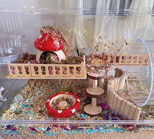 YZHZOM Ceramic Hamster Hideout - Small Animal Houses & Habitats for Mice, Gerbils, Lemmings or Other Small Pets - Accessories