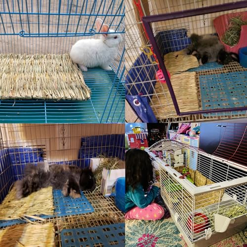 PINVNBY 6 Pack Rabbit Grass Mat,Bunny Natural Straw Woven Bed,Small Animal Cages Hay Nest Sleeping,Chewing,Nesting and Toys for Rabbits Guinea Pig Hamster Hedgehog and Squirrel Bed Mat - size: 【6 PCS】