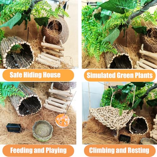 TEICCI 20-Piece Bearded Dragon Tank Accessories Set | Leopard Gecko Tank Accessories, Reptile Bridge, Bearded Dragon Hammock, Suitable for Lizards, Geckos, And Chameleons