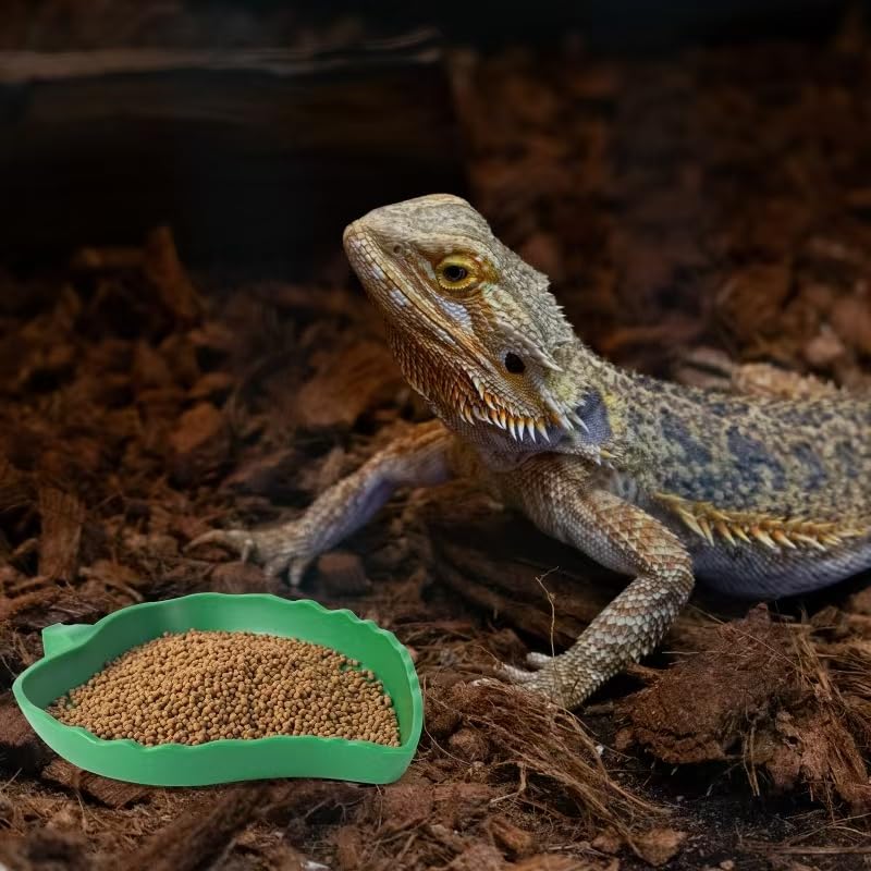 4Pack Terrarium Bowls Turtle Feeding Dishes Shallow and Flat Reptile Food and Water Feeder for Tortoise,Bearded Dragon,Lizards,Gecko,Cute Leaf and Mango Shaped