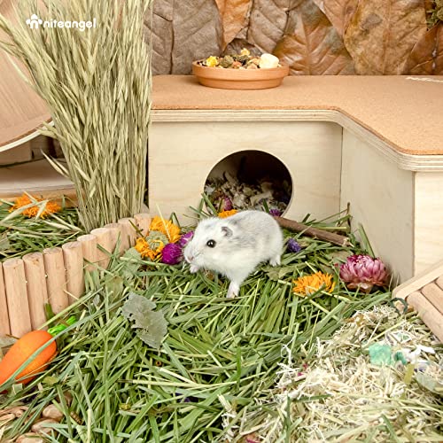 Niteangel Natural & Soft Hamster Bedding Mate: Air-Dried Flowers & Grass | Fun to Cage Habitat & Adds Vibrant Color - Decor for Syrian Dwarf Hamster Gerbils Mice Degus or Other Small-Sized Pet - size: Orchard Grass & Flower