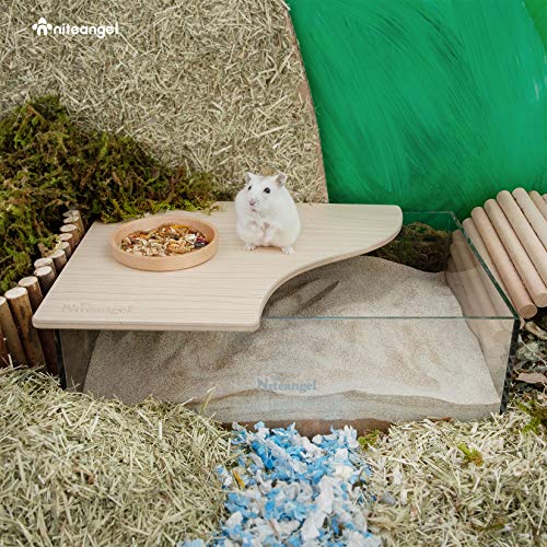 Niteangel Animal Sand-Bath Box: - Acrylic Critter's Sand Bath Shower Room & Digging Sand Container for Hamsters Mice Lemming Gerbils or Other Small Pets (Rectangle, Burlywood) | Acrylic Viewable Critter Sand Bath Shower Room & Digging Sand Container for H