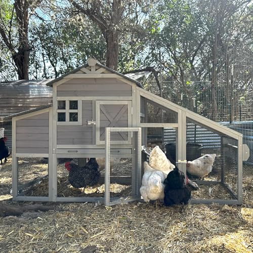 Aivituvin Chicken Coop Mobile Chicken House on Wheels Expandable Wooden Poultry Cage with Large Nesting Box Leakproof Pull-Out Tray Rabbit Hutch Bunny Cage,UV-Resistant Roof (Grey，AIR32) - size: Grey 73.38"L x 27.9"W x 43.2"H